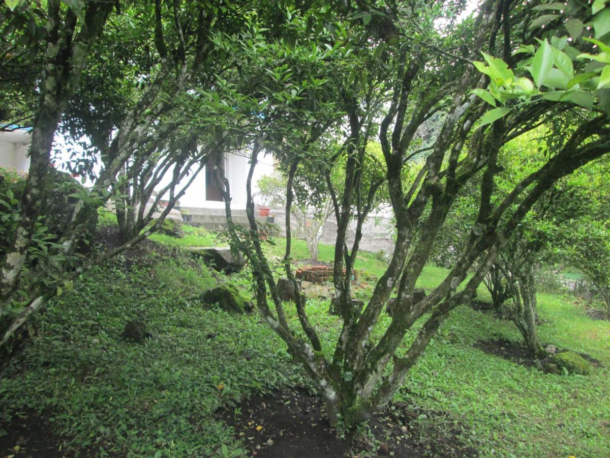 Casa Martin En Banos De Agua Santa Vila Exterior foto